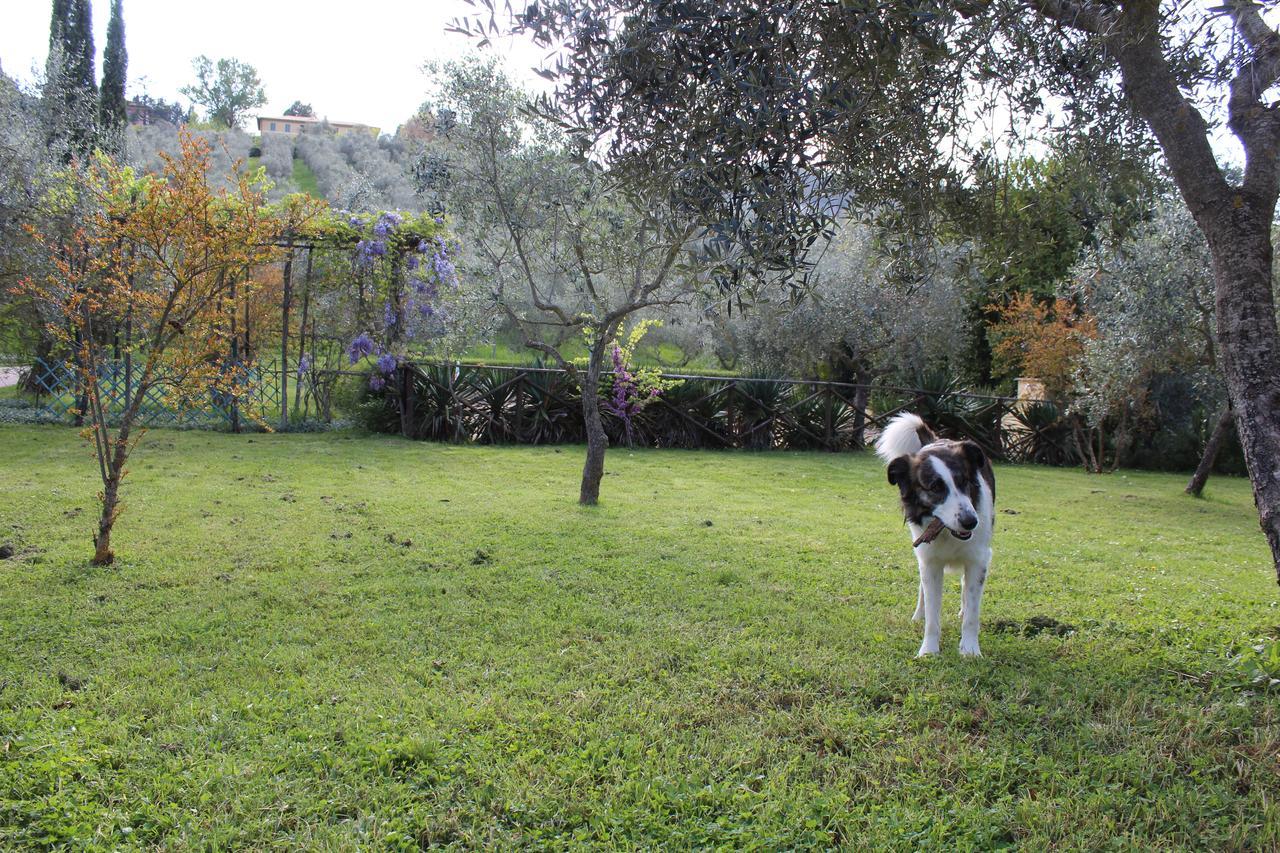 בוואניה Agriturismo La Fonte מראה חיצוני תמונה